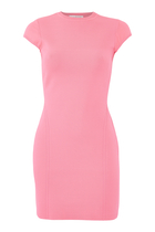 Bodycon Knit Cap Sleeve Mini Dress